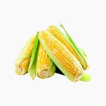 Benih Jagung Manis cover