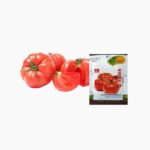 Benih-Tomat-Beefsteak-Rainbow-Haira-Seed